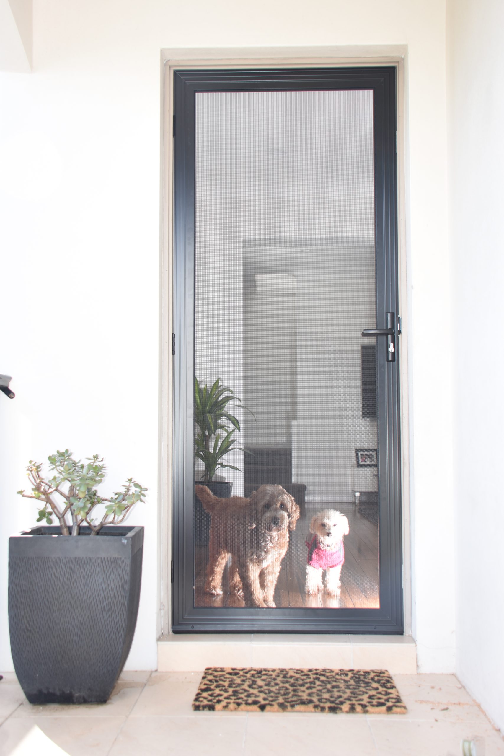 east blinds experience