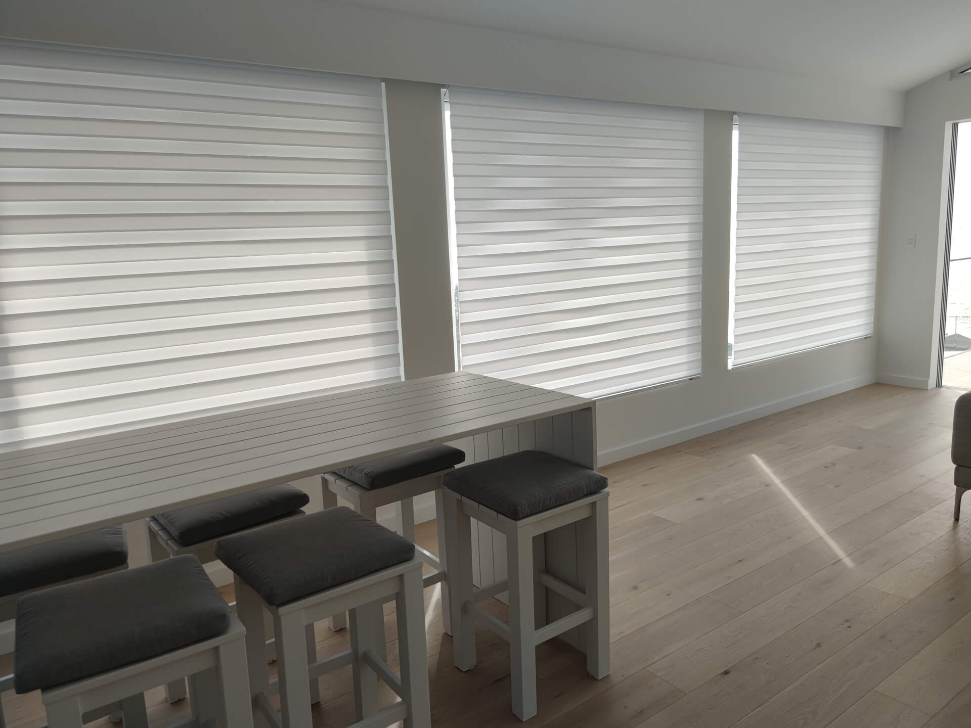 Vision Blinds