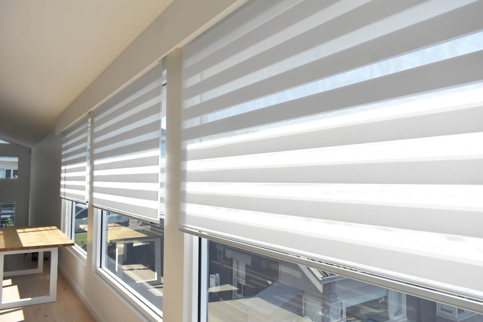 Vision Blinds