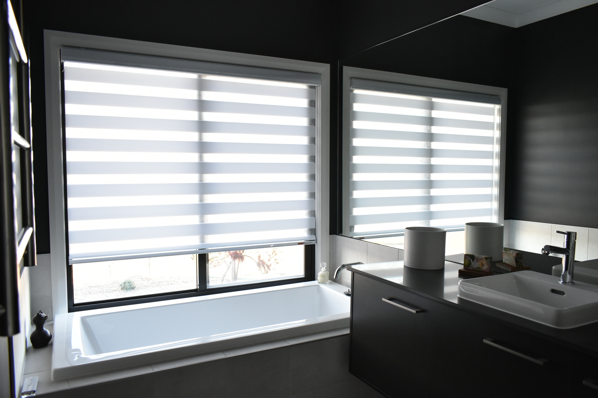 Vision Blinds