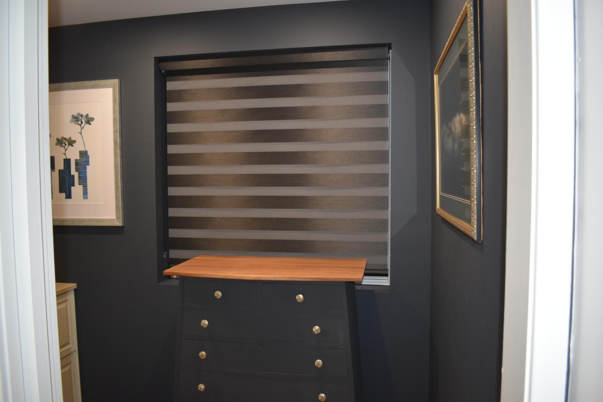 Vision Blinds