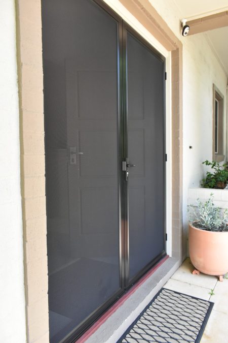 Dual security doors